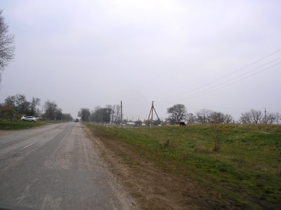 Drofino 5