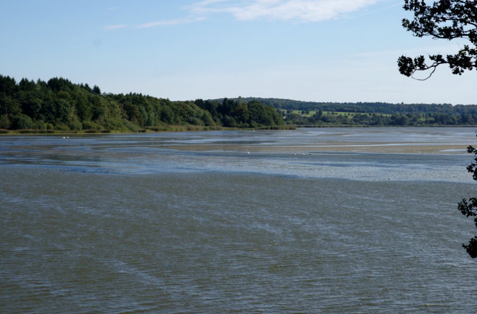 Dreifelder Weiher Westerwald Germany 4