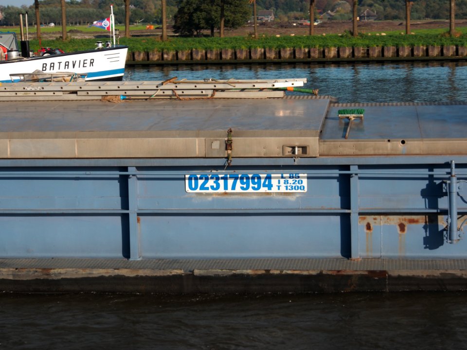 Earthquake (Fossa) (ENI 02317994) at the Amsterdam-Rhine Canal, pic2