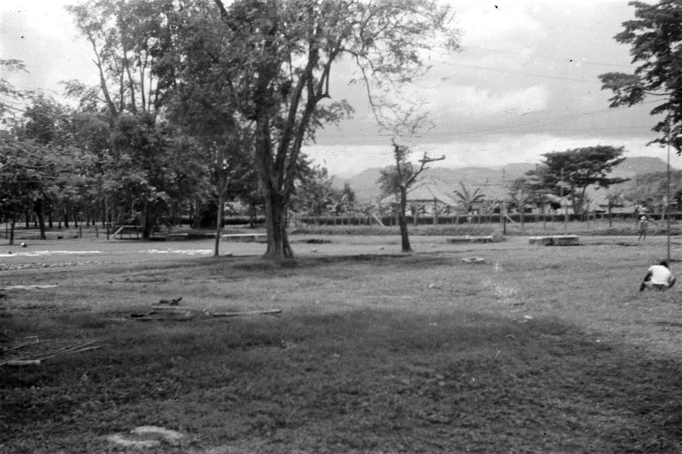 Een groot grasveld met bomen (alun-alun) In de verte een gebergte, Bestanddeelnr 428-1-5