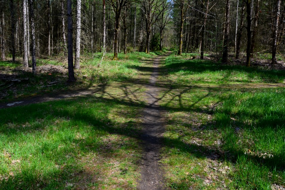 Dresdner Heide Wegekreuzung