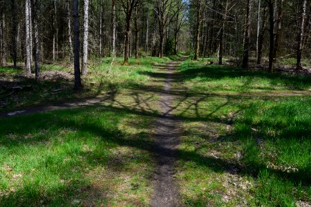 Dresdner Heide Wegekreuzung