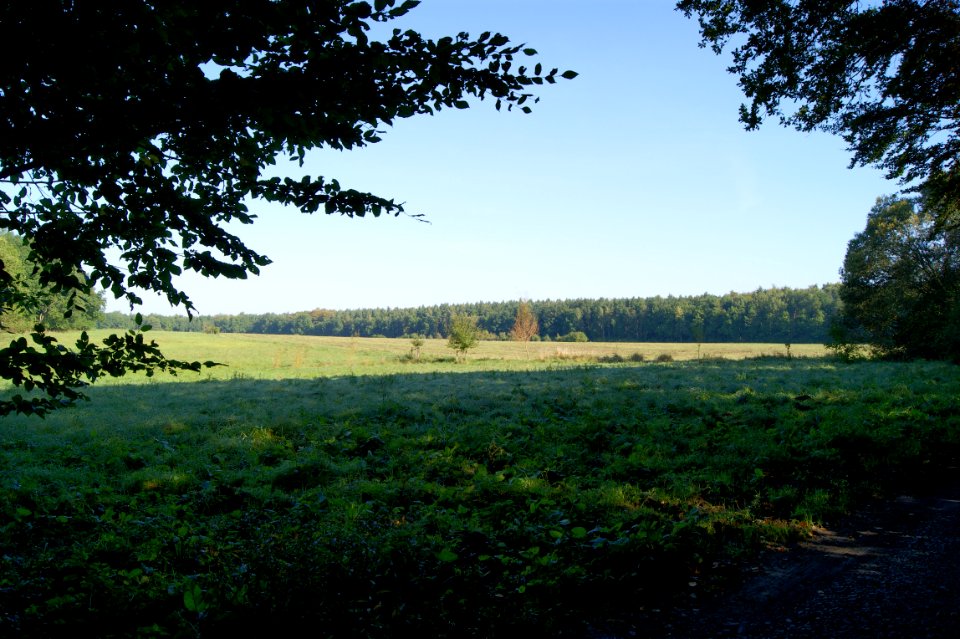 Dresdner heide langebruecker hofewiese