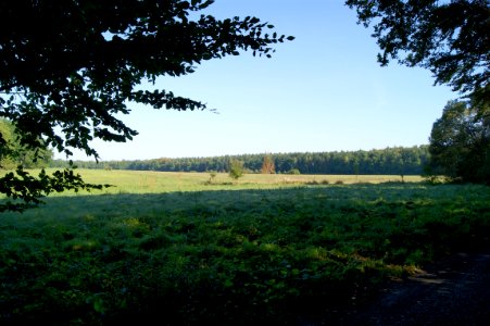 Dresdner heide langebruecker hofewiese