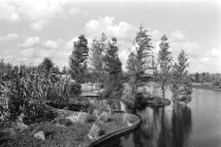 Een deel van de Floriade met bomen in het water, Bestanddeelnr 931-6984