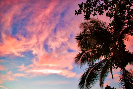 Sky summer palma