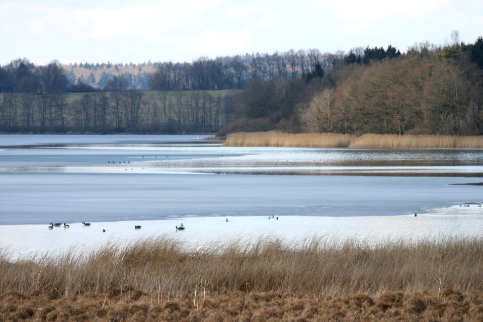 Dreifelder Weiher Westerwald Germany