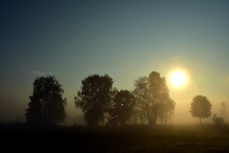 Morning mist morgenstimmung mood