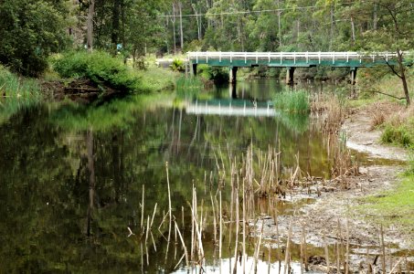 Emu-River-bridge-20071225-003