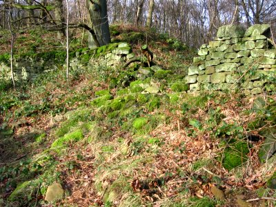Dry stone wall, Peak District photo
