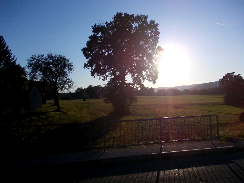 Drama, Šentjernej 37