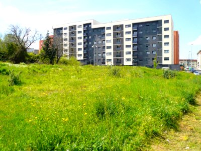Durango - Apartamentos 17