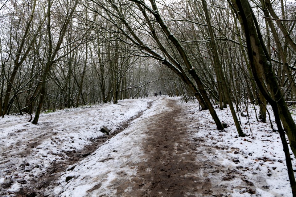 Drachenberg Berlin with snow 2021-01-03 01