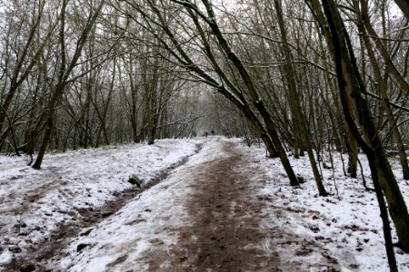 Drachenberg Berlin with snow 2021-01-03 02