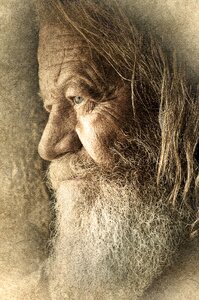 Face beard portrait