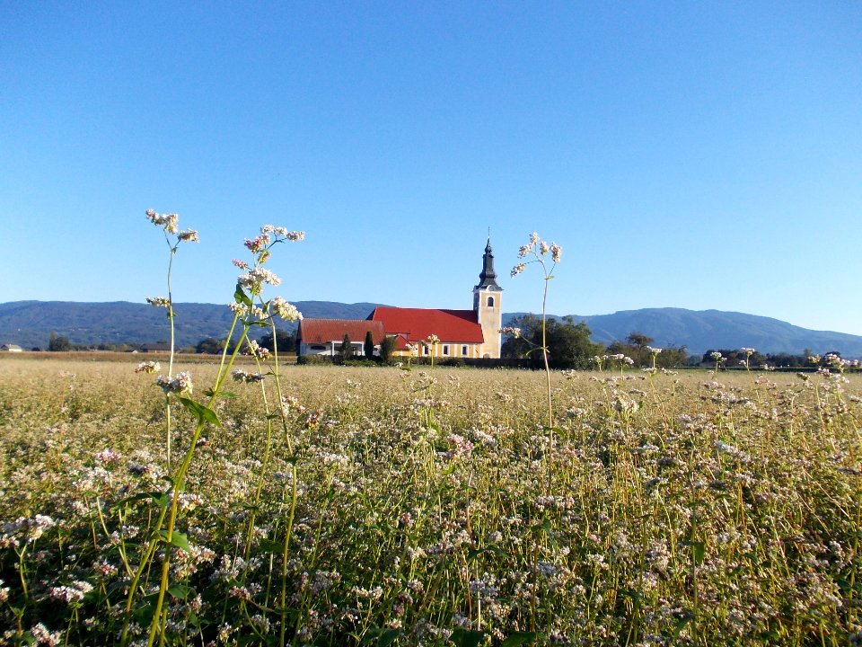 Drama, Šentjernej 09