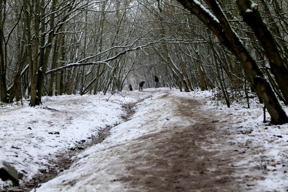 Drachenberg Berlin with snow 2021-01-03 04