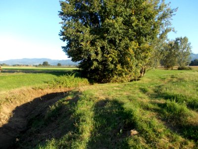 Drama, Šentjernej 11
