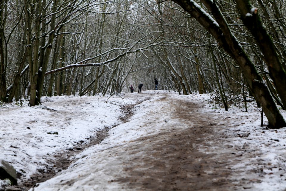 Drachenberg Berlin with snow 2021-01-03 03