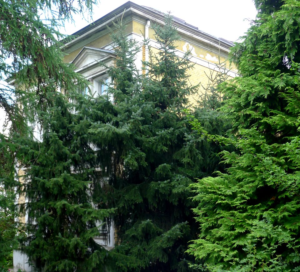 Drakestraße 11 (Berlin-Lichterfelde)