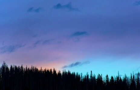 Nature silhouette sunset photo