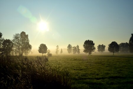 Morning mist morgenstimmung mood photo