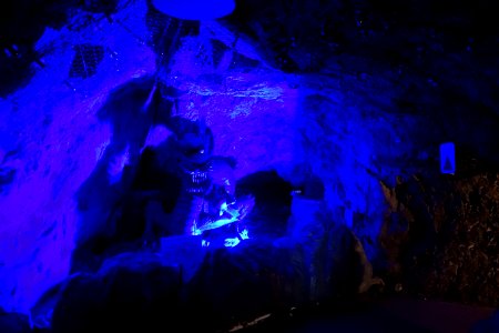 Dragon - Iwaya Caves - Enoshima, Japan - DSC07966
