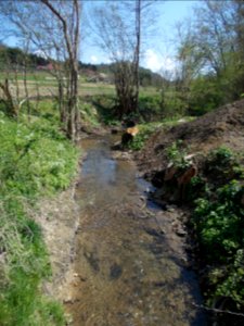 Dramlja (creek) 02