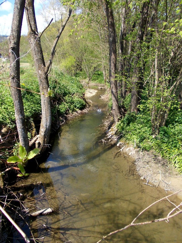 Dramlja (creek) 01