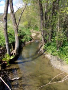 Dramlja (creek) 01