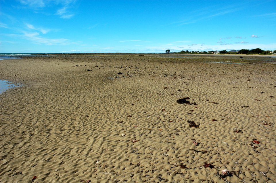 East-Wynyard-Beach-20070423-020