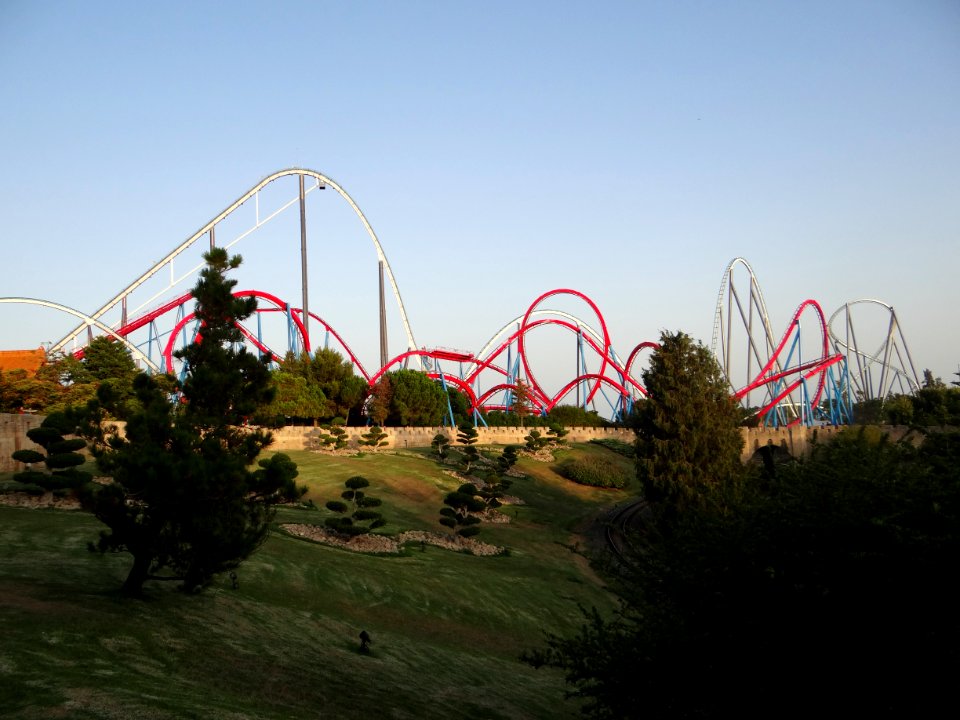 Dragon Khan and Shambhala from the wall