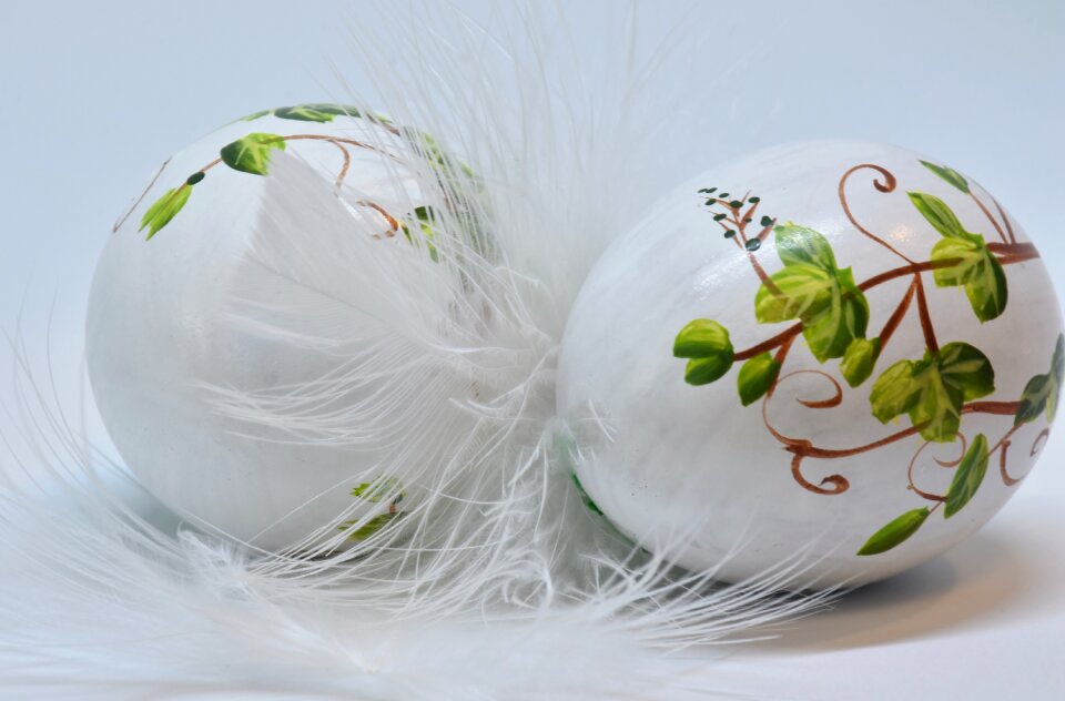 Painted feather fragility