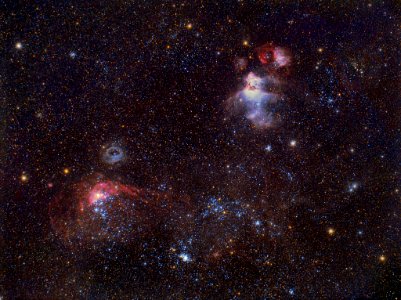 Dragon's Head Nebula NGC2035 photo