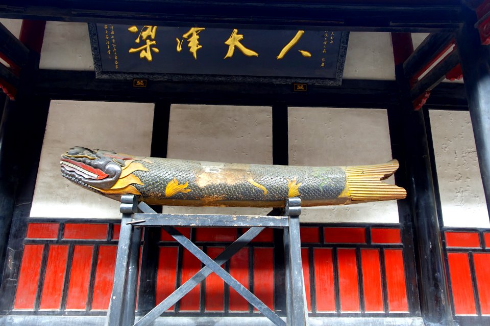 Dragon fish - Wenshu Monastery - Chengdu, China - DSC05228