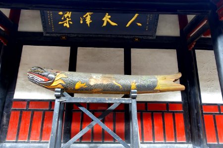 Dragon fish - Wenshu Monastery - Chengdu, China - DSC05228