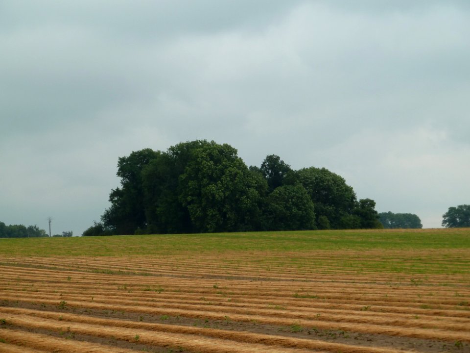 Faimes-Tumulus van Saives (1)