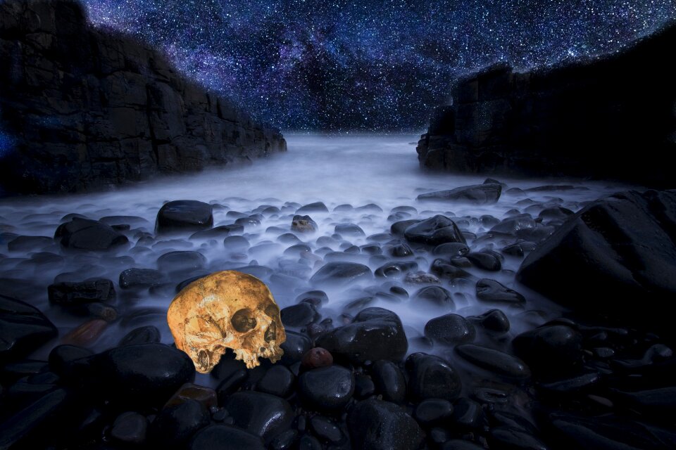 Rocks stars halloween