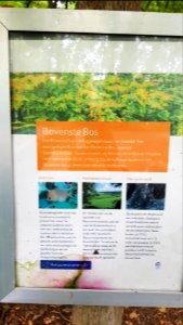 Epen-bord Bovenste Bosch