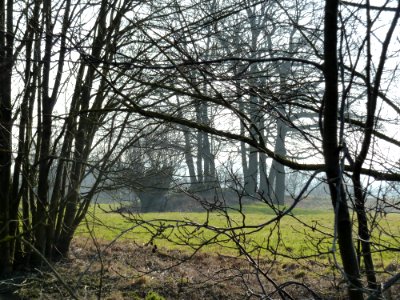Epen-Motte Epen (2)