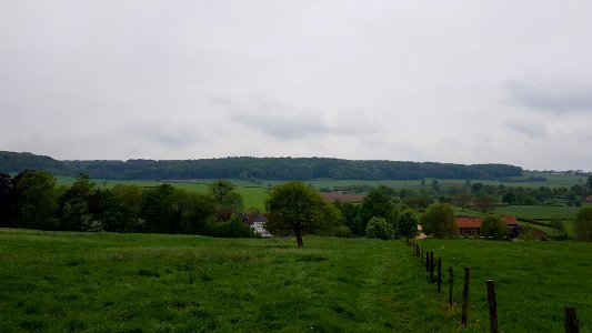 Epen-Onderste Bosch (5)