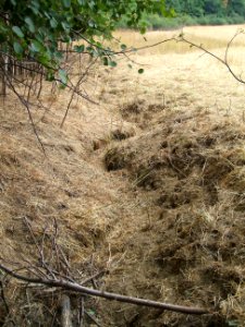 Etzbach trocken unterhalb Maibacher Weg