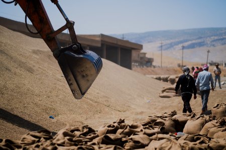 Ezidi workers and administrators packing grain in summer of 2019 at the grain processing center in Shingal 19