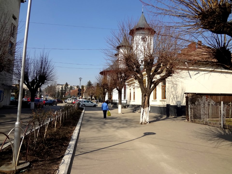 Falticeni allee pietonale 2