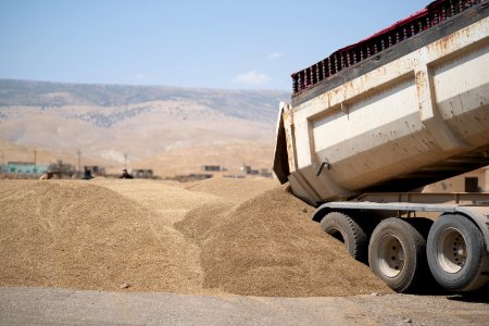 Ezidi workers and administrators packing grain in summer of 2019 at the grain processing center in Shingal 33