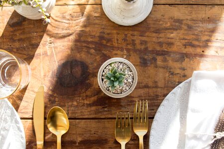 Plate tableware plant
