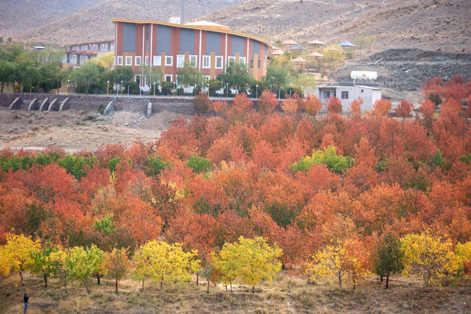 Fall In Qom Province-Qahan village-Autumn عکس های پاییز در استان قم - بخش های کهک - قاهان - کرمجگان - روستای انجیله - وصف - وشنوه 04