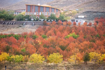 Fall In Qom Province-Qahan village-Autumn عکس های پاییز در استان قم - بخش های کهک - قاهان - کرمجگان - روستای انجیله - وصف - وشنوه 04