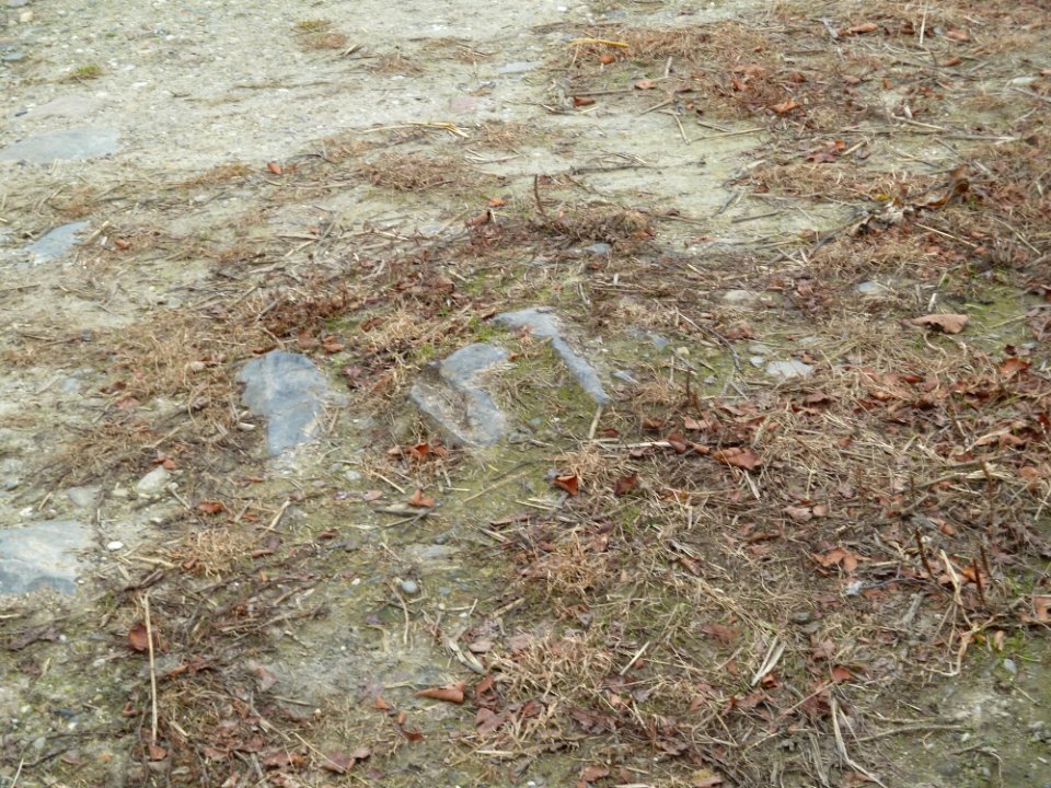 Epen-Kuttingerweg 6 (2)