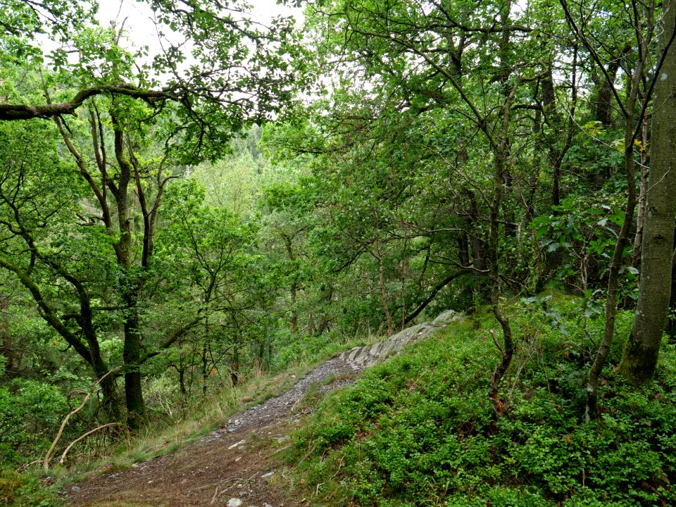 Erkensruhr valley near Leykaul 03